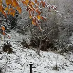 Alpenrose 게스트하우스 3*