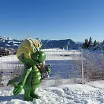 게스트하우스 Alpenrose 젤암제
