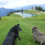 Alpenrose 3*