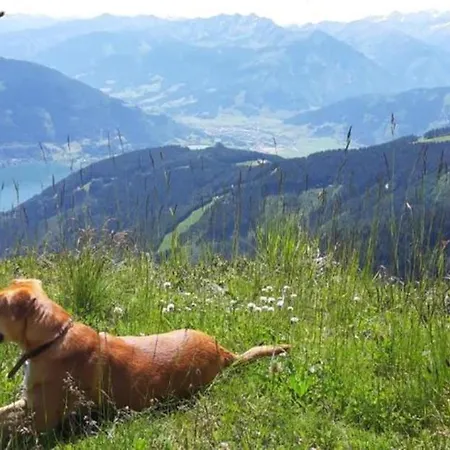 Alpenrose Guest house