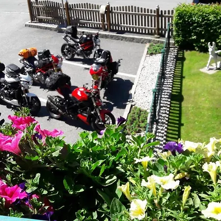 Guest house Alpenrose Zell am See