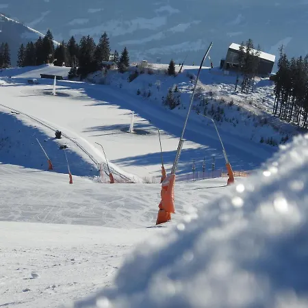 Alpenrose Guest house 3*