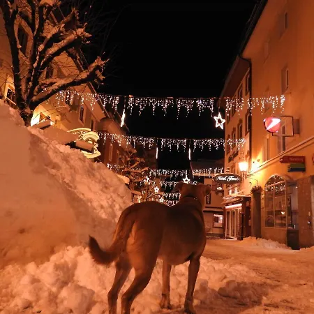 ゲストハウス Alpenrose