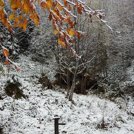 Alpenrose Casa de hóspedes 3*