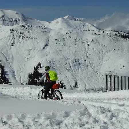 Alpenrose 3* Zell am See