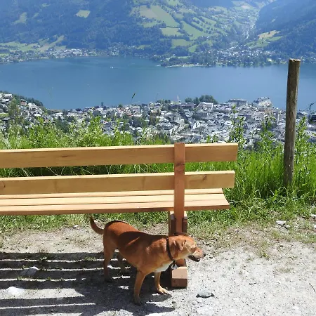 Pensionat Alpenrose 3*