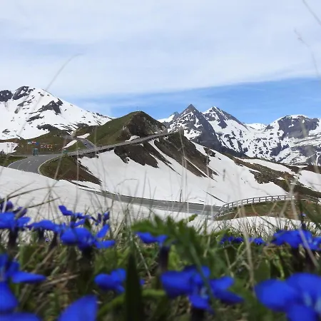 ゲストハウス Alpenrose