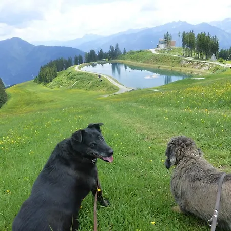 Alpenrose 3*