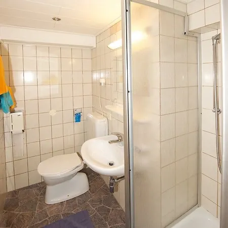 Alpenrose Guest house Zell am See