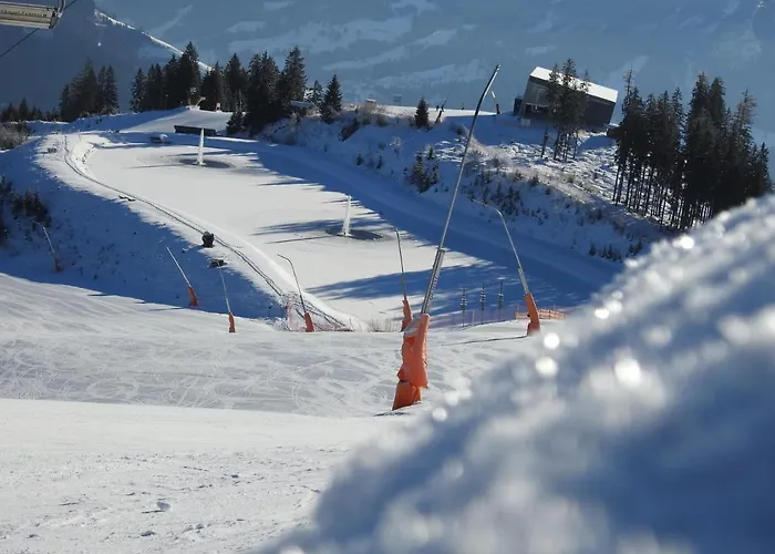 Alpenrose Casa de hóspedes 3*