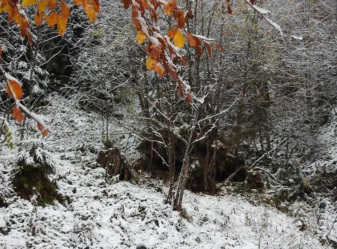Alpenrose Casa de hóspedes 3*