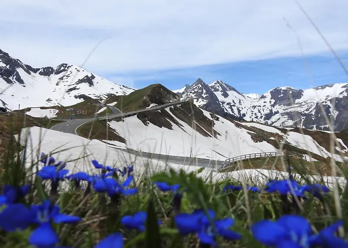 Casa de hóspedes Alpenrose