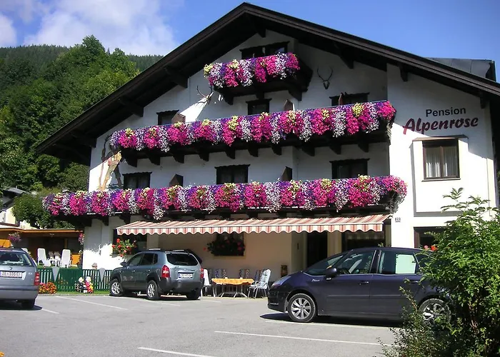 招待所 Alpenrose 3*