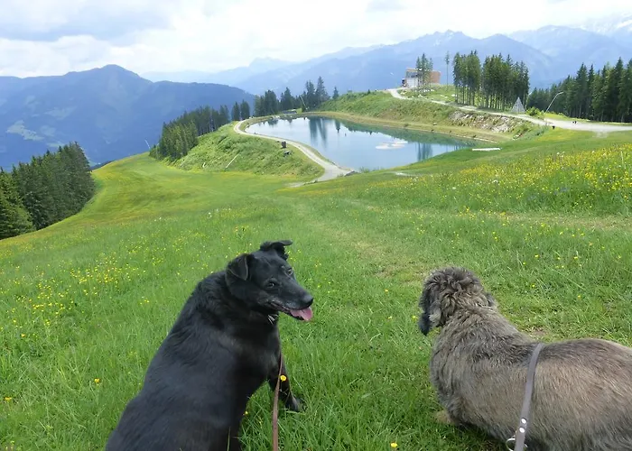 Alpenrose 3*