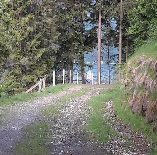 Alpenrose