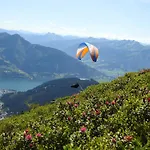 Alpenrose